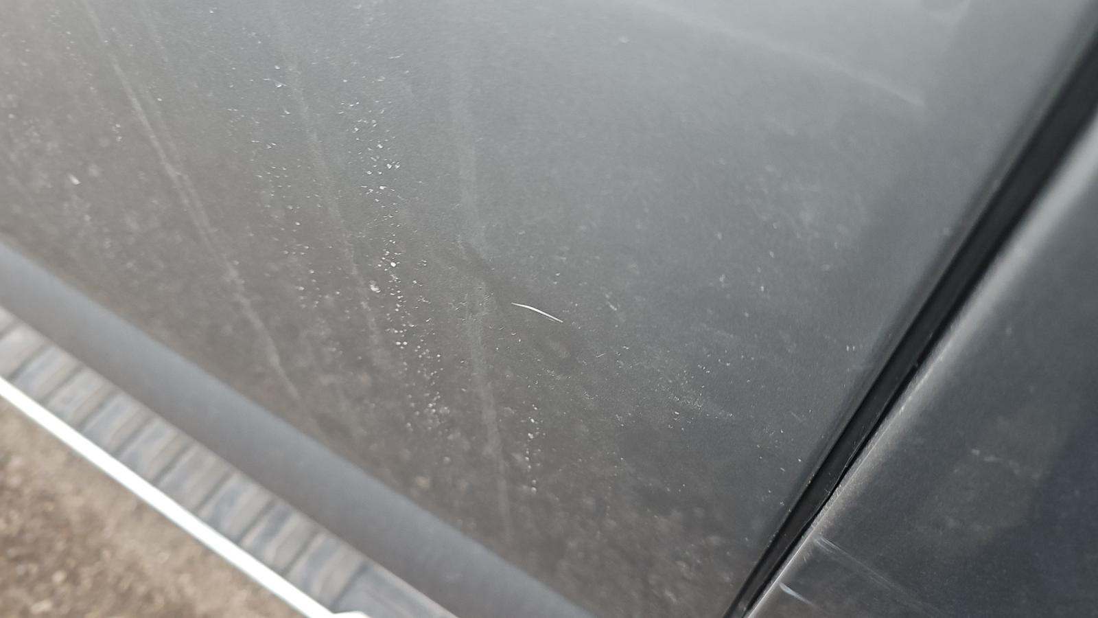 2024 Ford F-150 XLT AWD