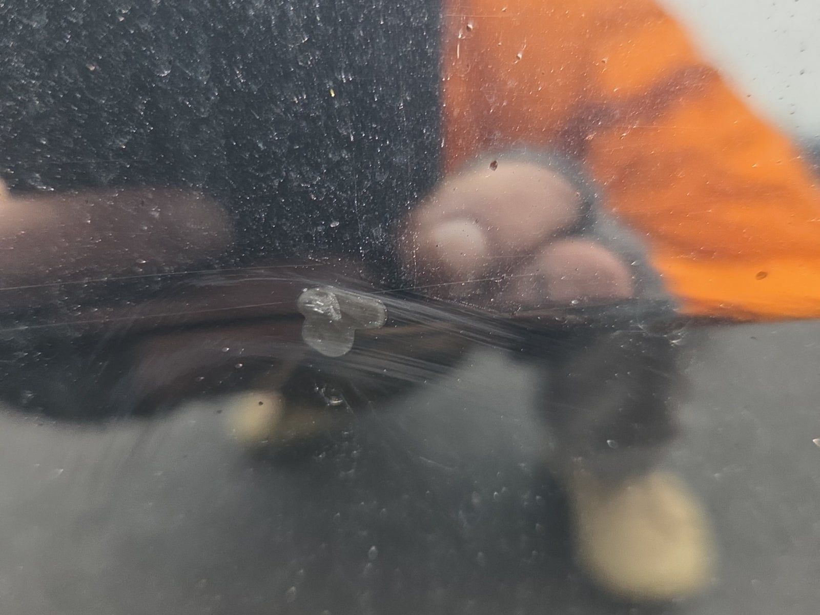 2022 Porsche Cayenne Base AWD