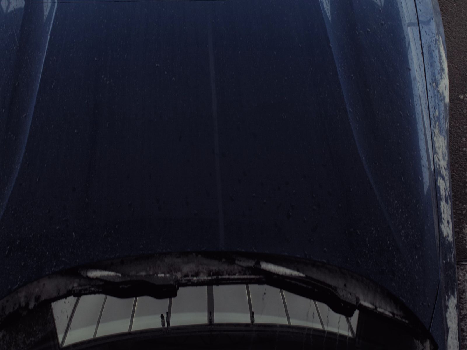 2025 BMW 4 Series 430i xDrive AWD