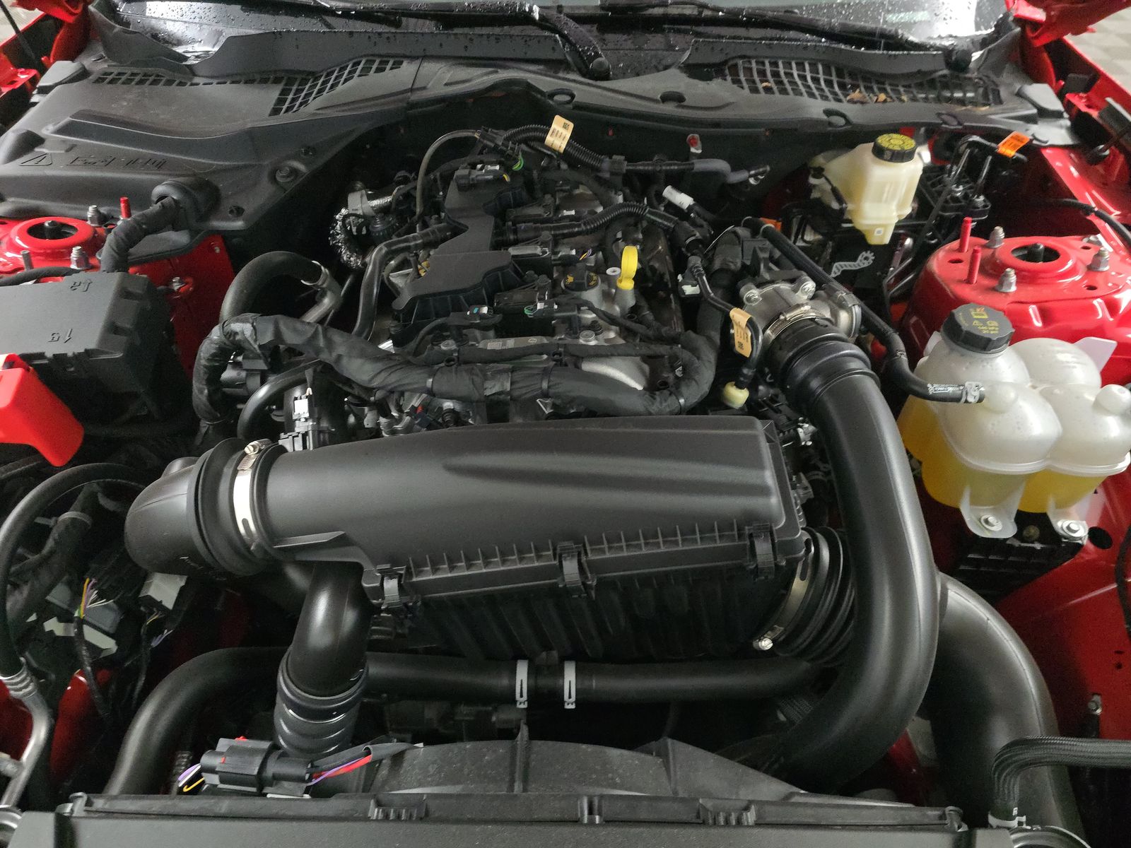 2025 Ford Mustang EcoBoost RWD