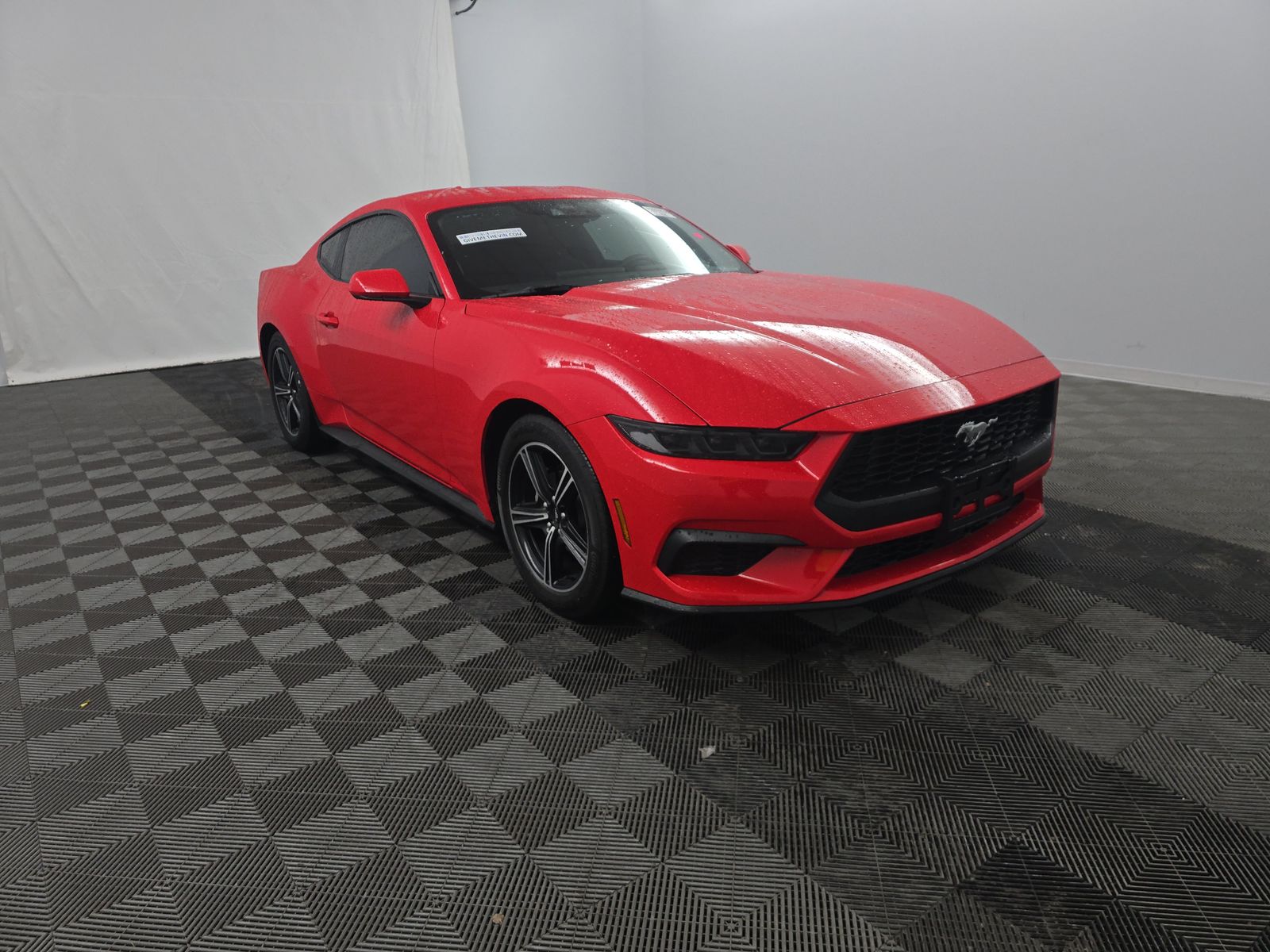 2025 Ford Mustang EcoBoost RWD