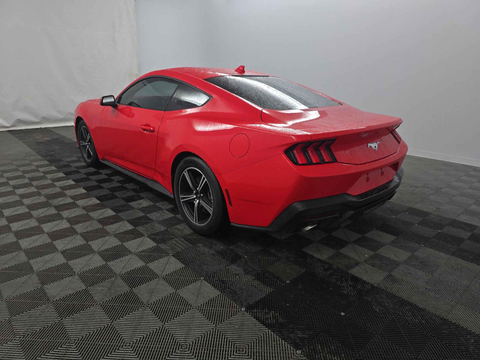 2025 Ford Mustang EcoBoost RWD