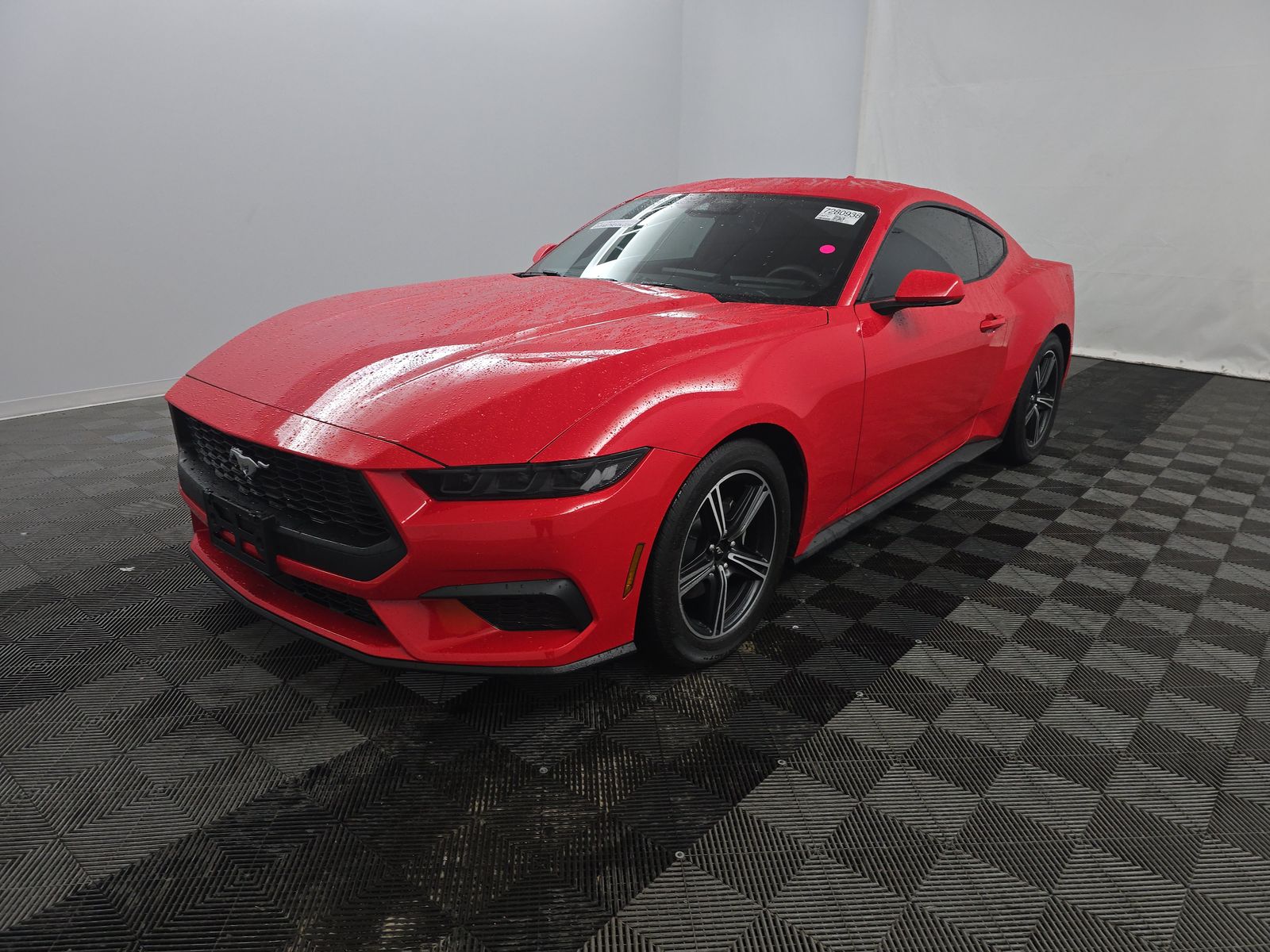 2025 Ford Mustang EcoBoost RWD