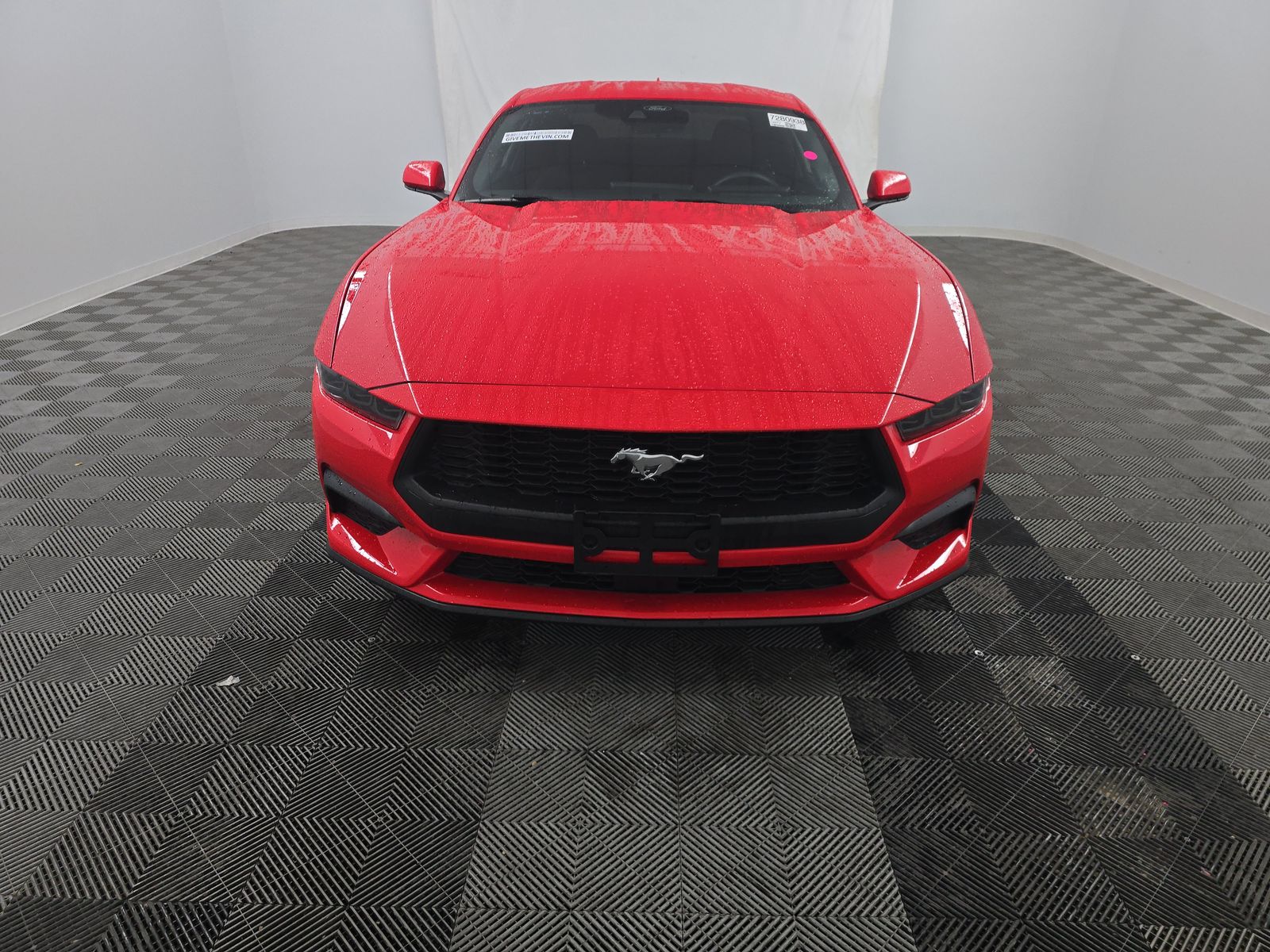 2025 Ford Mustang EcoBoost RWD