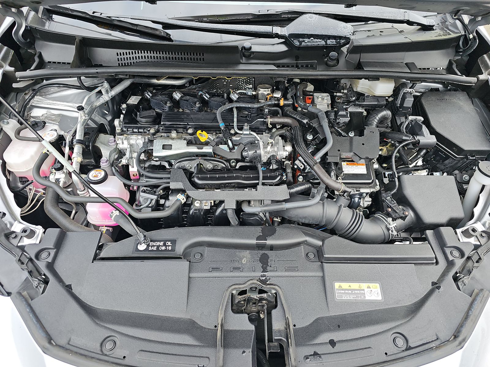 2023 Toyota Prius XLE FWD