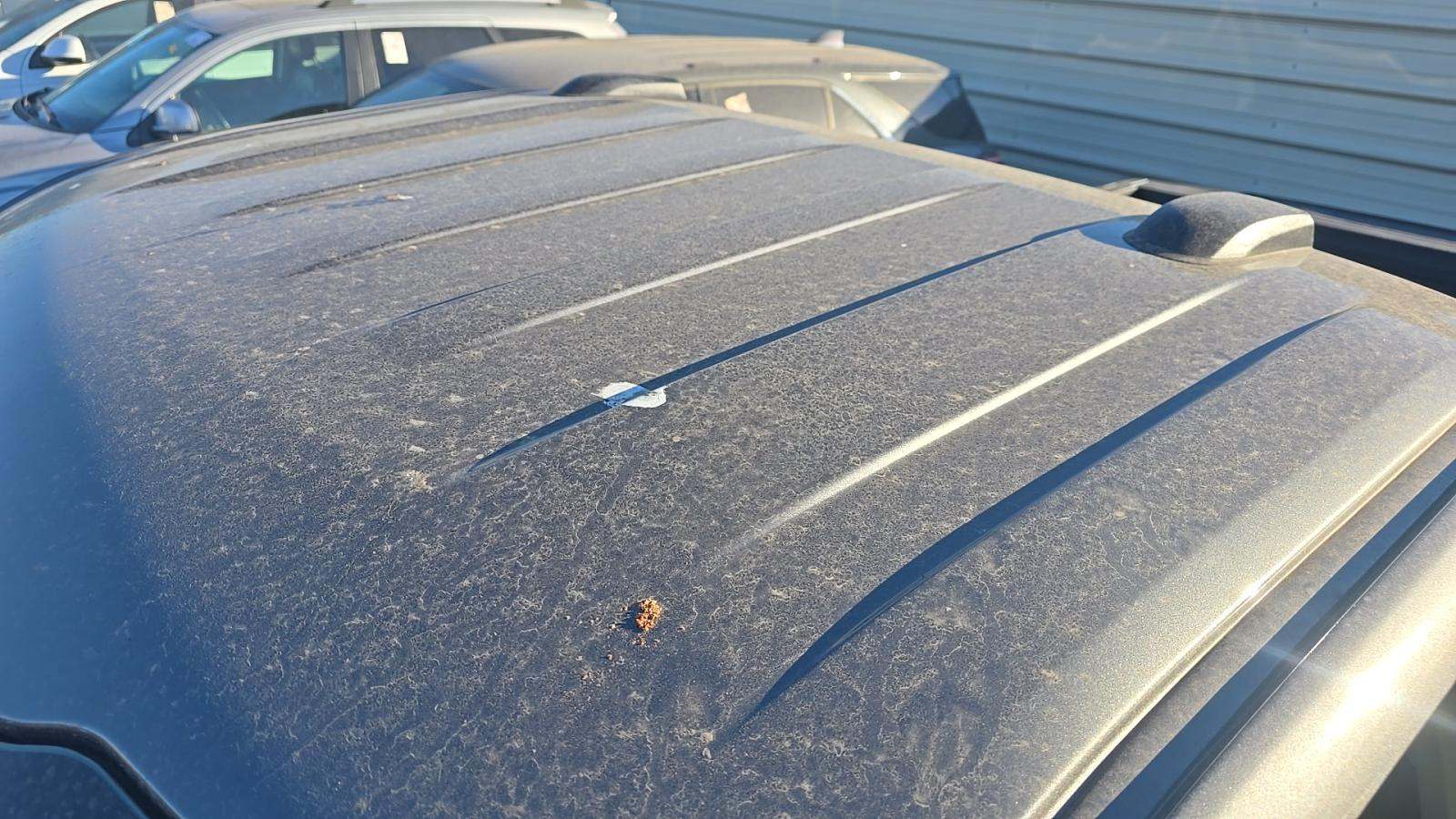 2025 Ford F-150 XL RWD