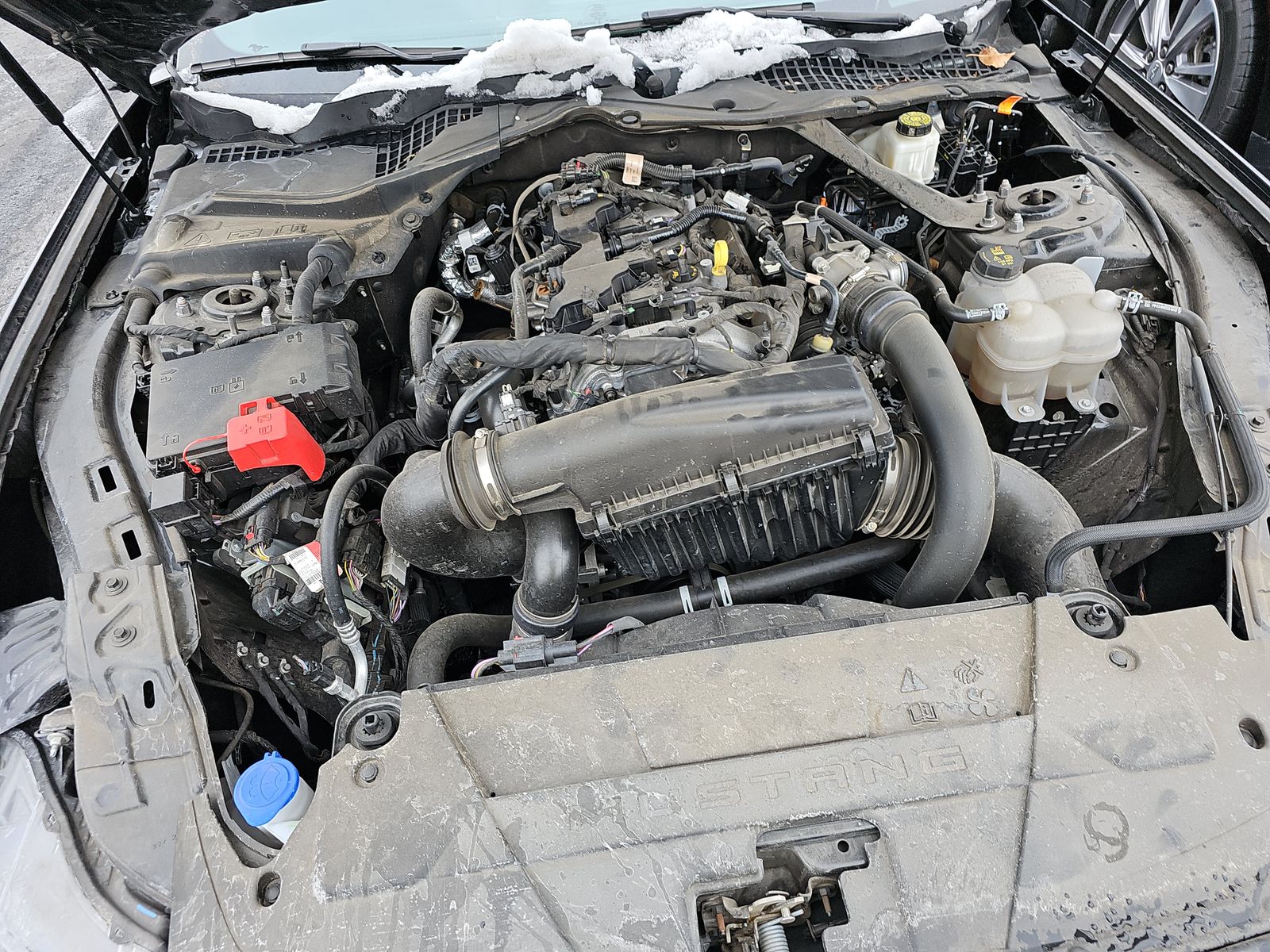 2024 Ford Mustang EcoBoost Premium RWD