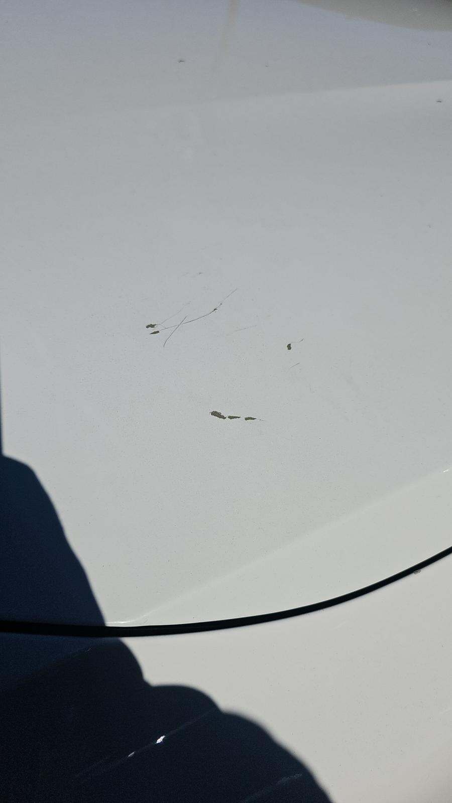 2022 BMW M4 Competition xDrive AWD