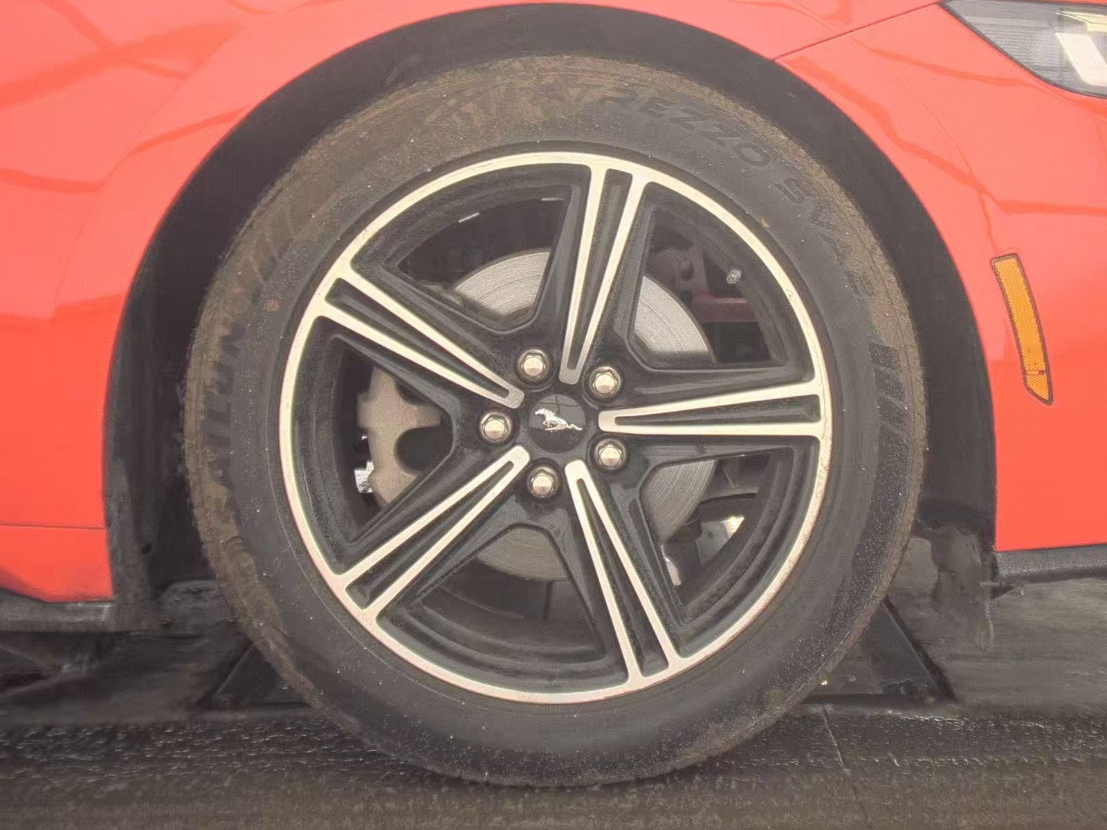 2024 Ford Mustang EcoBoost Premium RWD