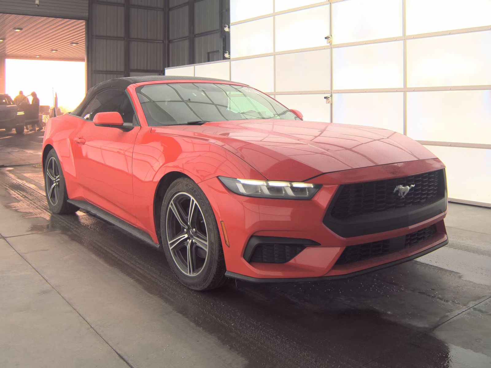 2024 Ford Mustang EcoBoost Premium RWD