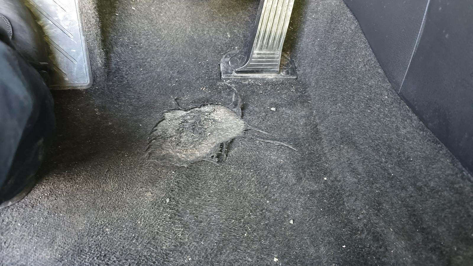 2024 Toyota RAV4 LE AWD