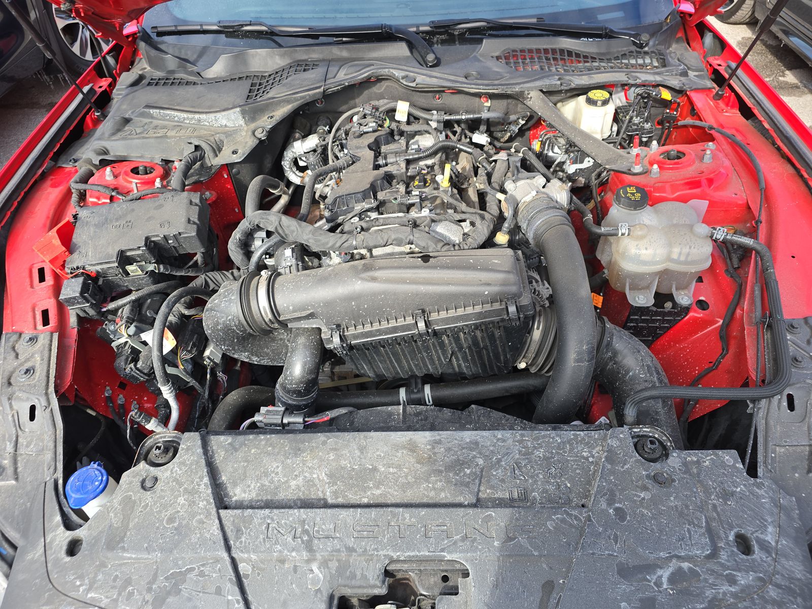 2024 Ford Mustang EcoBoost Premium RWD