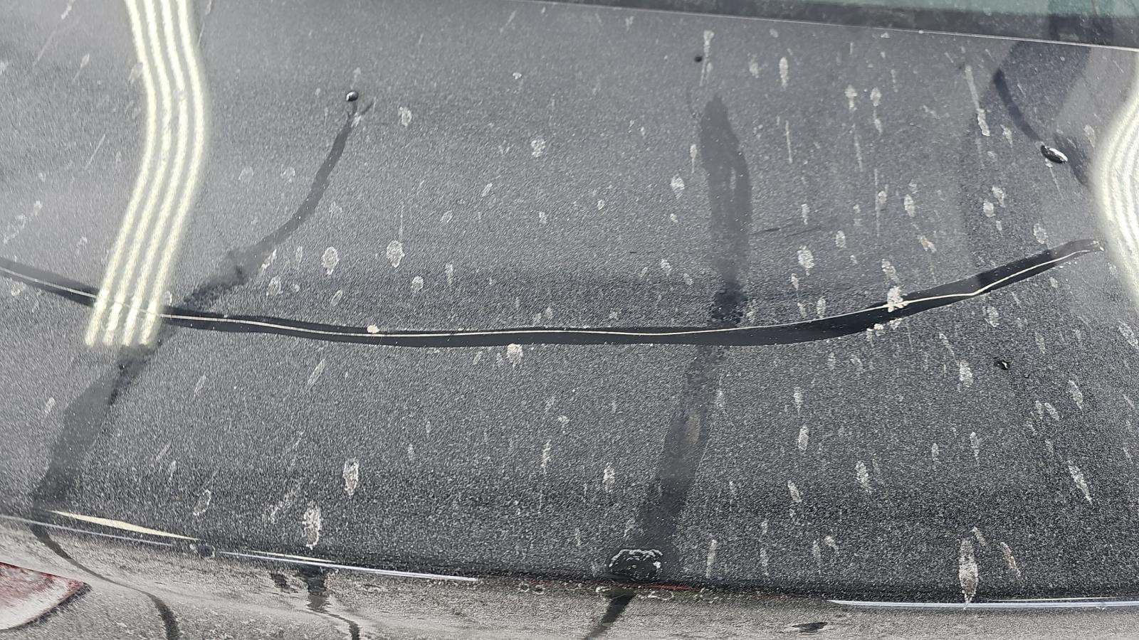 2025 MAZDA MAZDA3 2.5 S FWD