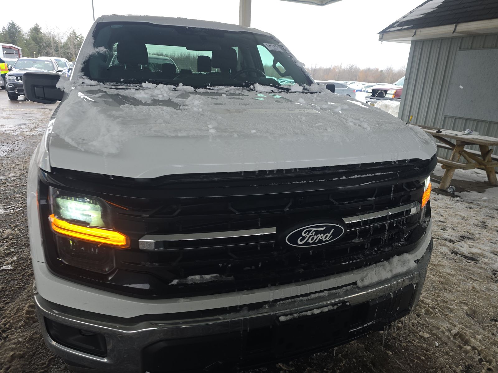 2025 Ford F-150 XLT AWD