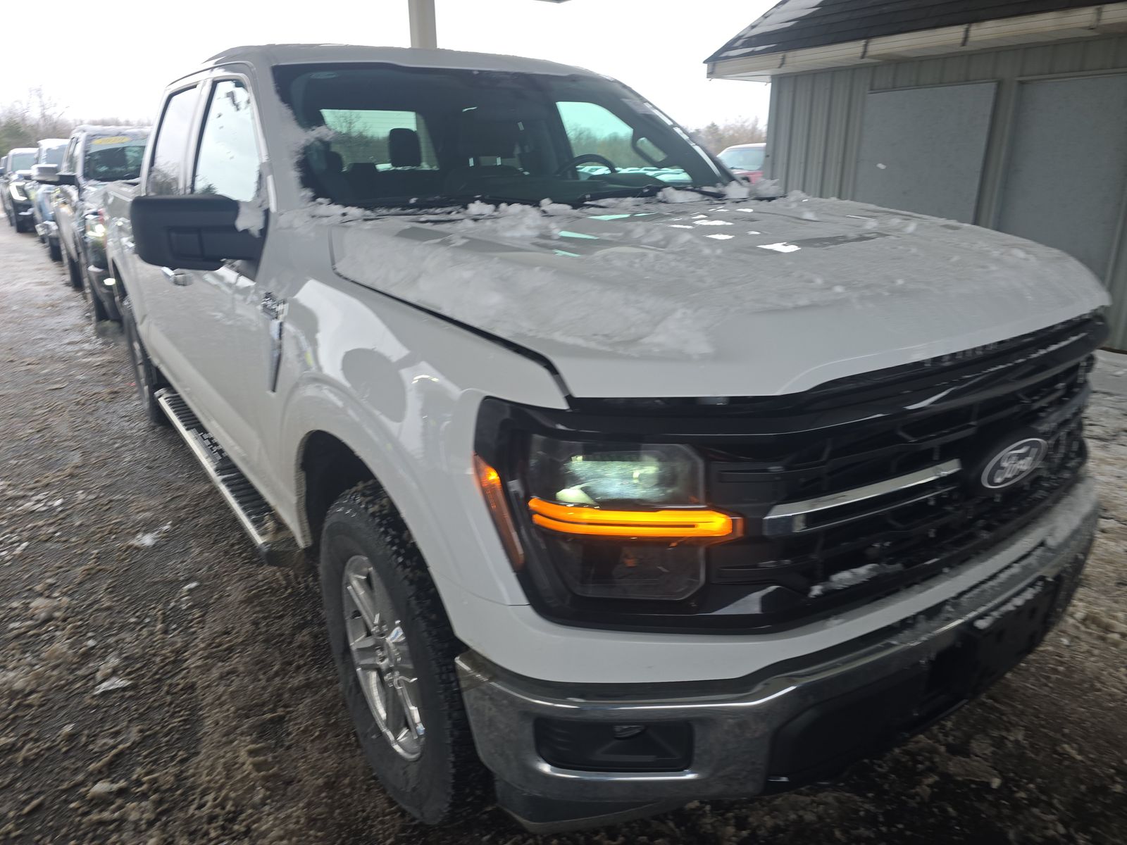 2025 Ford F-150 XLT AWD