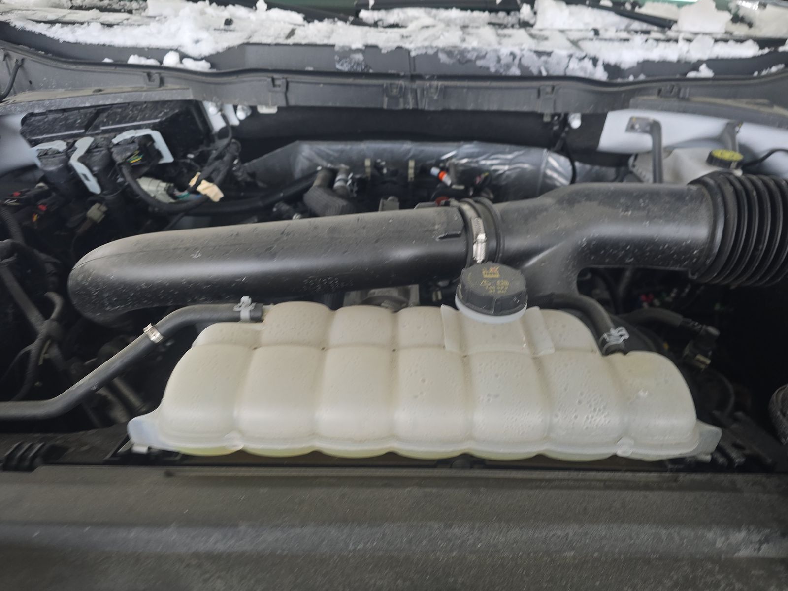 2025 Ford F-150 XLT AWD