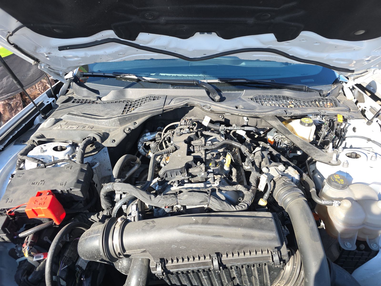 2024 Ford Mustang EcoBoost Premium RWD