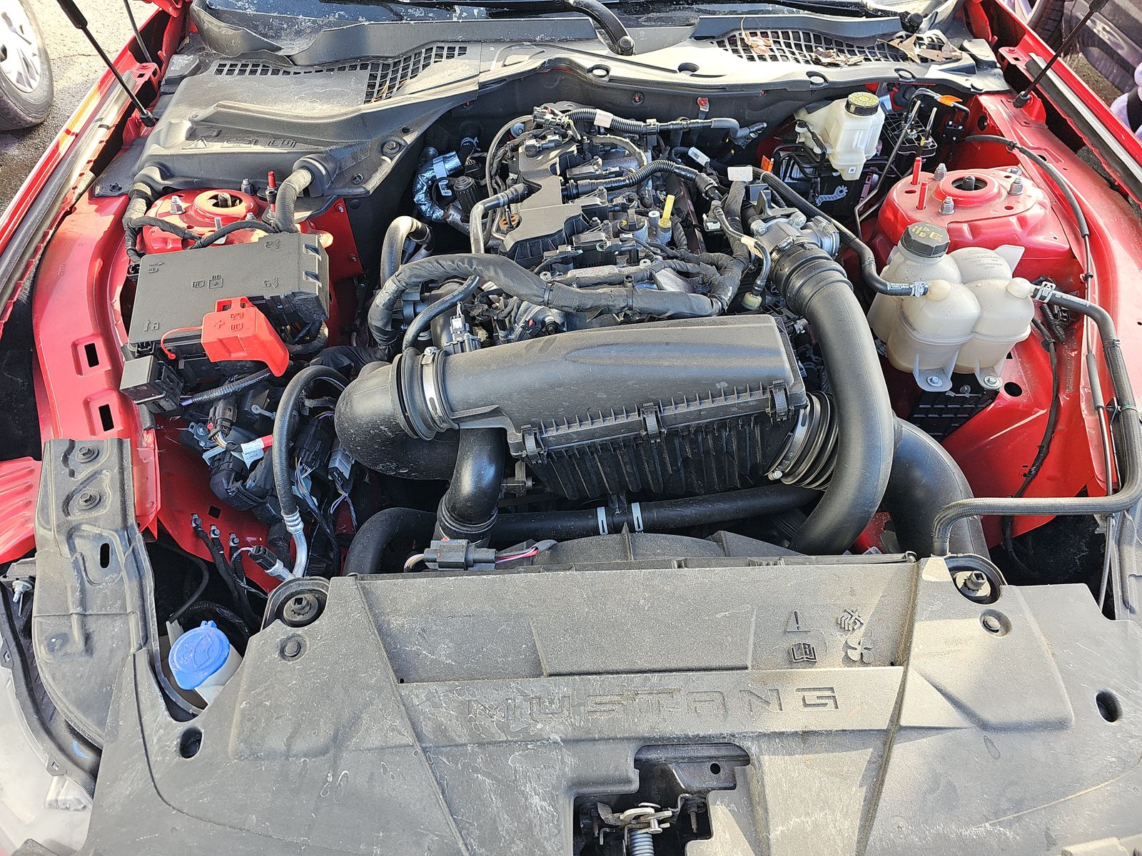 2024 Ford Mustang EcoBoost Premium RWD