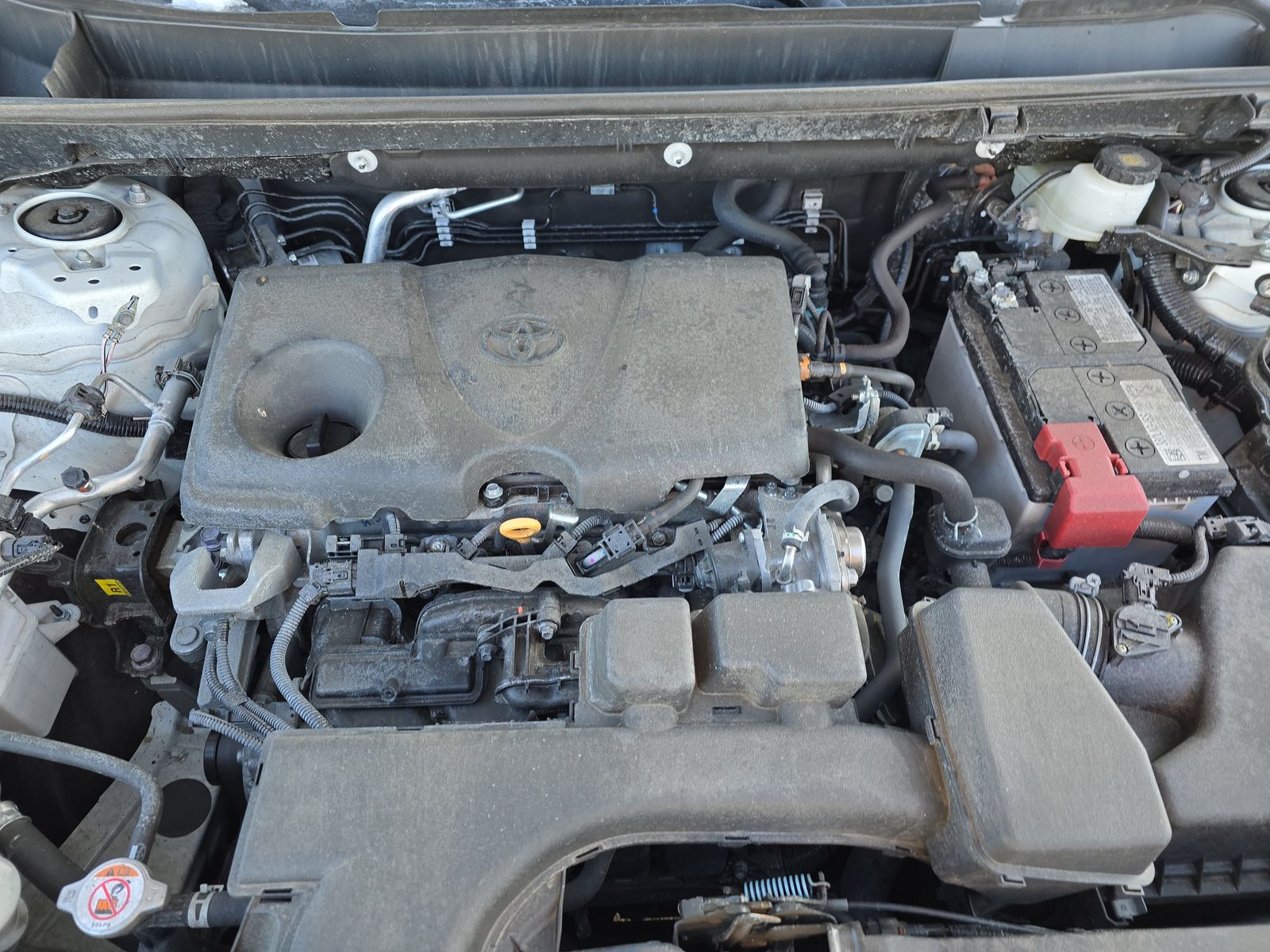 2024 Toyota RAV4 LE AWD