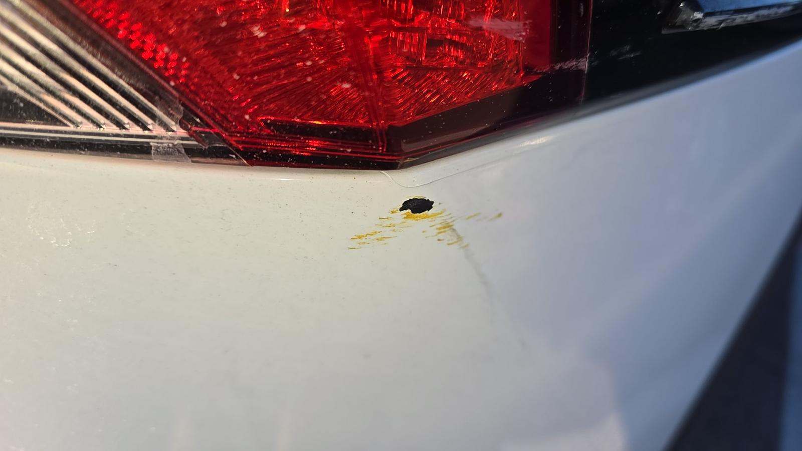 2024 Toyota RAV4 LE AWD