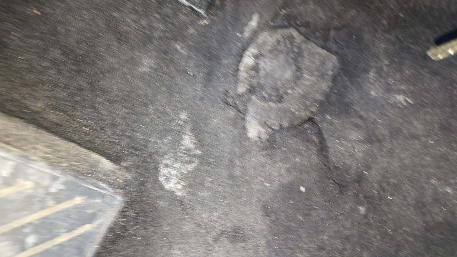 2024 Toyota RAV4 LE AWD