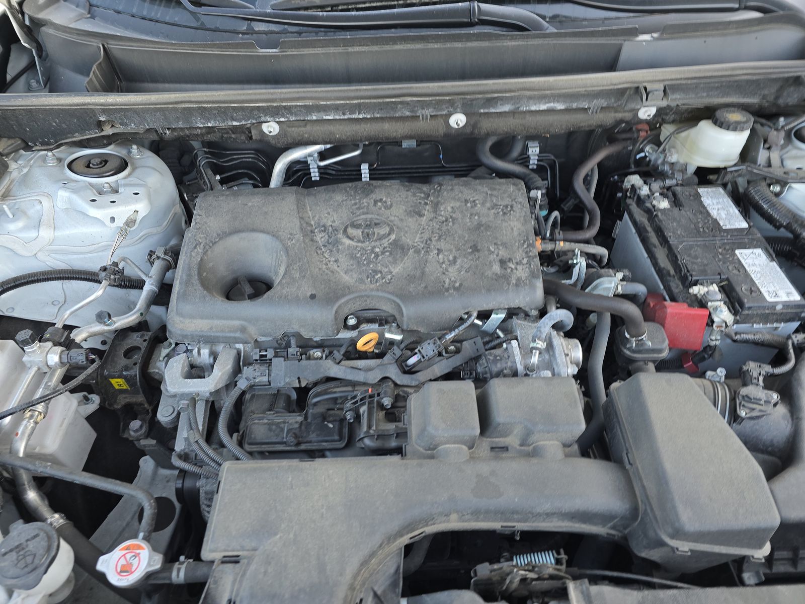 2024 Toyota RAV4 LE AWD