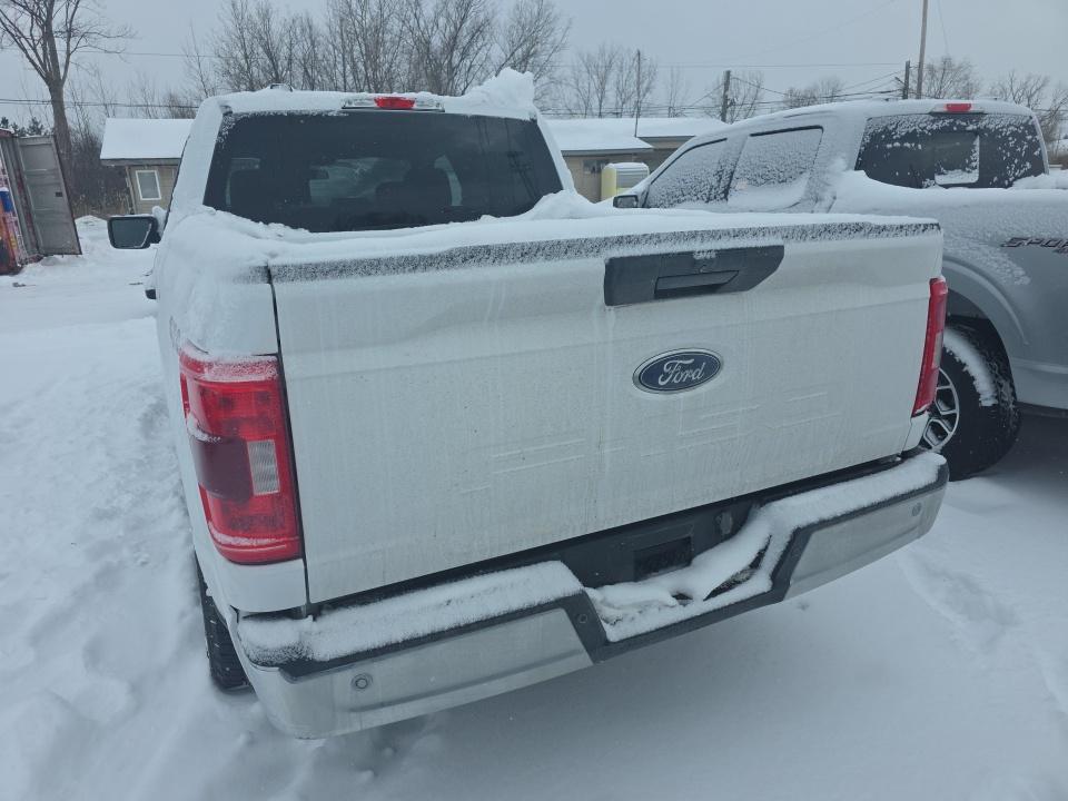 2023 Ford F-150 XLT AWD
