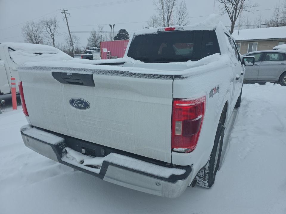 2023 Ford F-150 XLT AWD