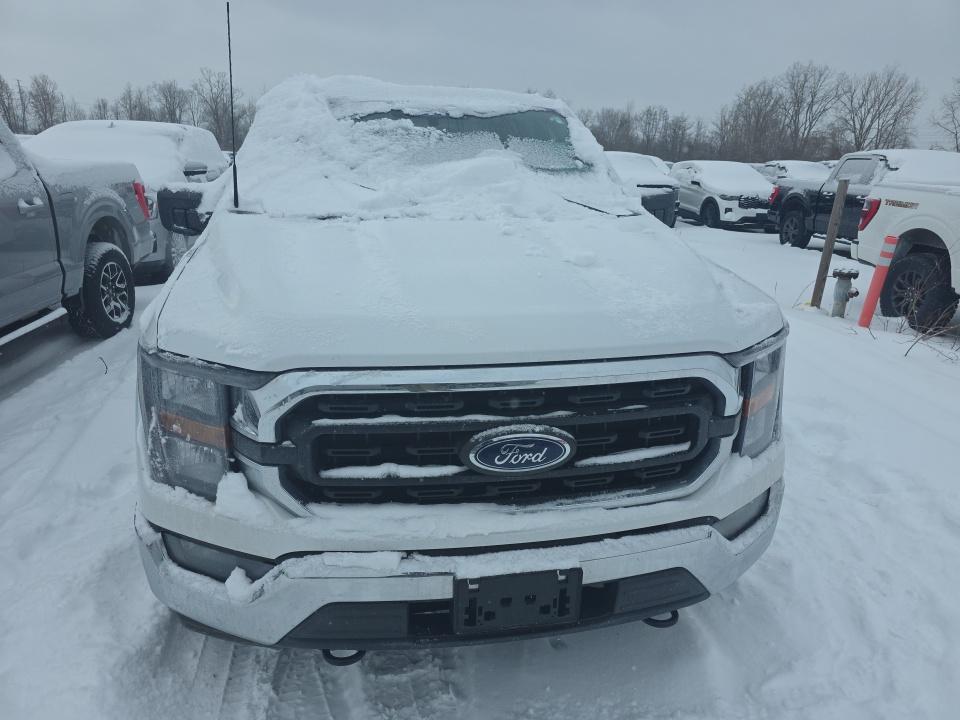 2023 Ford F-150 XLT AWD