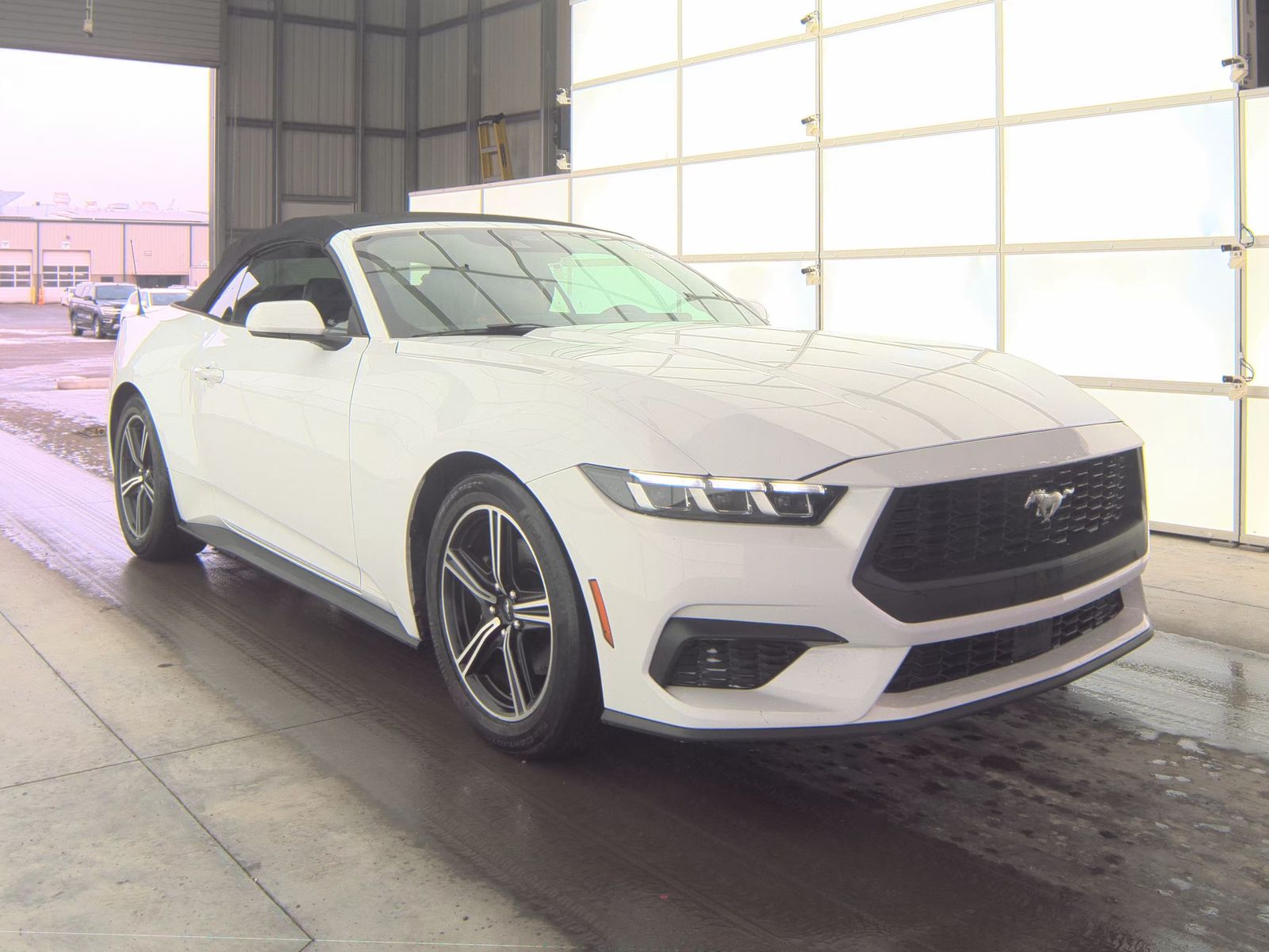 2024 Ford Mustang EcoBoost Premium RWD