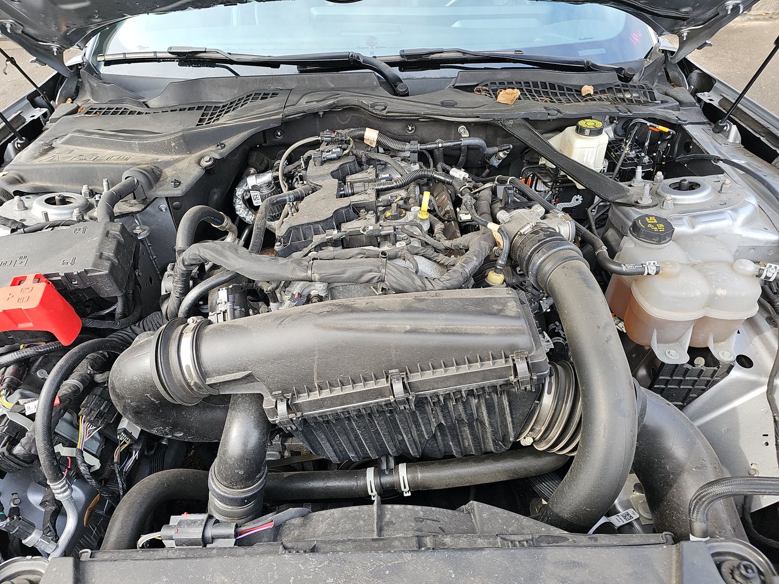 2024 Ford Mustang EcoBoost Premium RWD