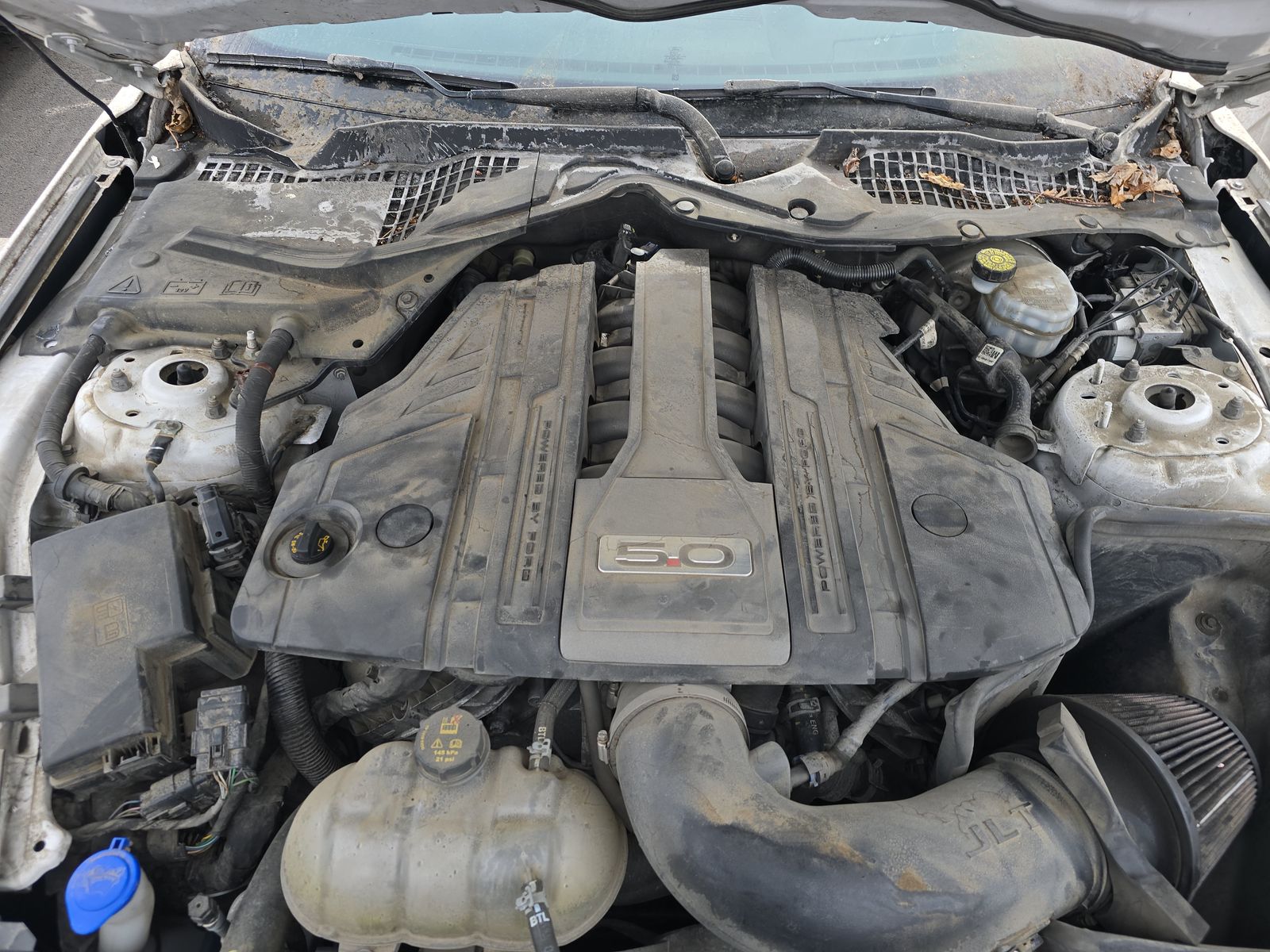 2020 Ford Mustang GT RWD