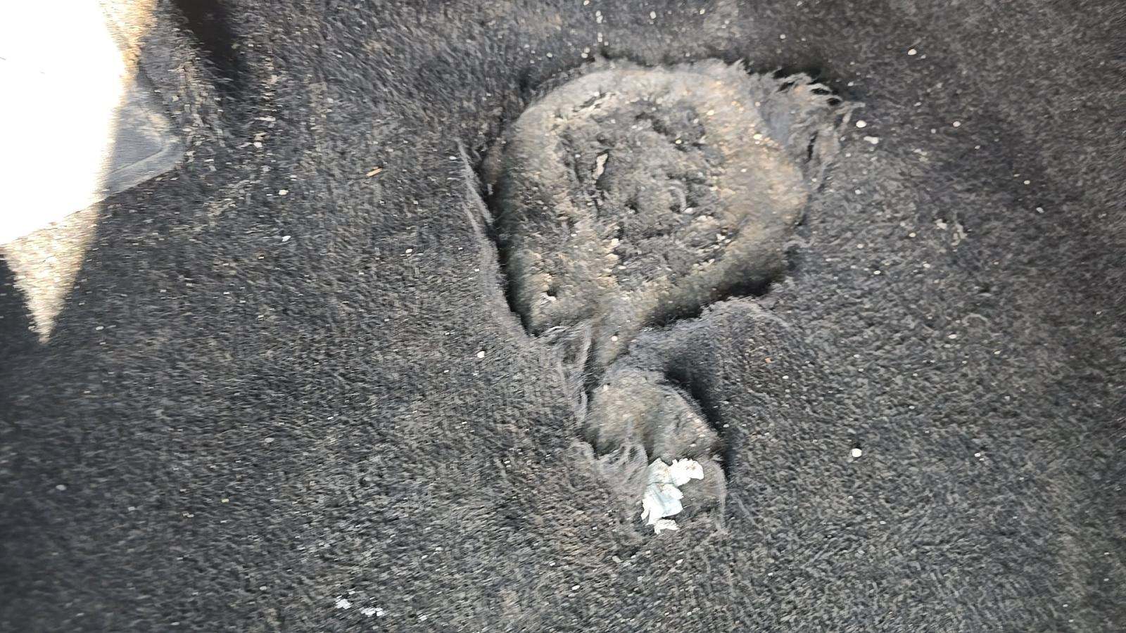 2024 Toyota RAV4 LE AWD