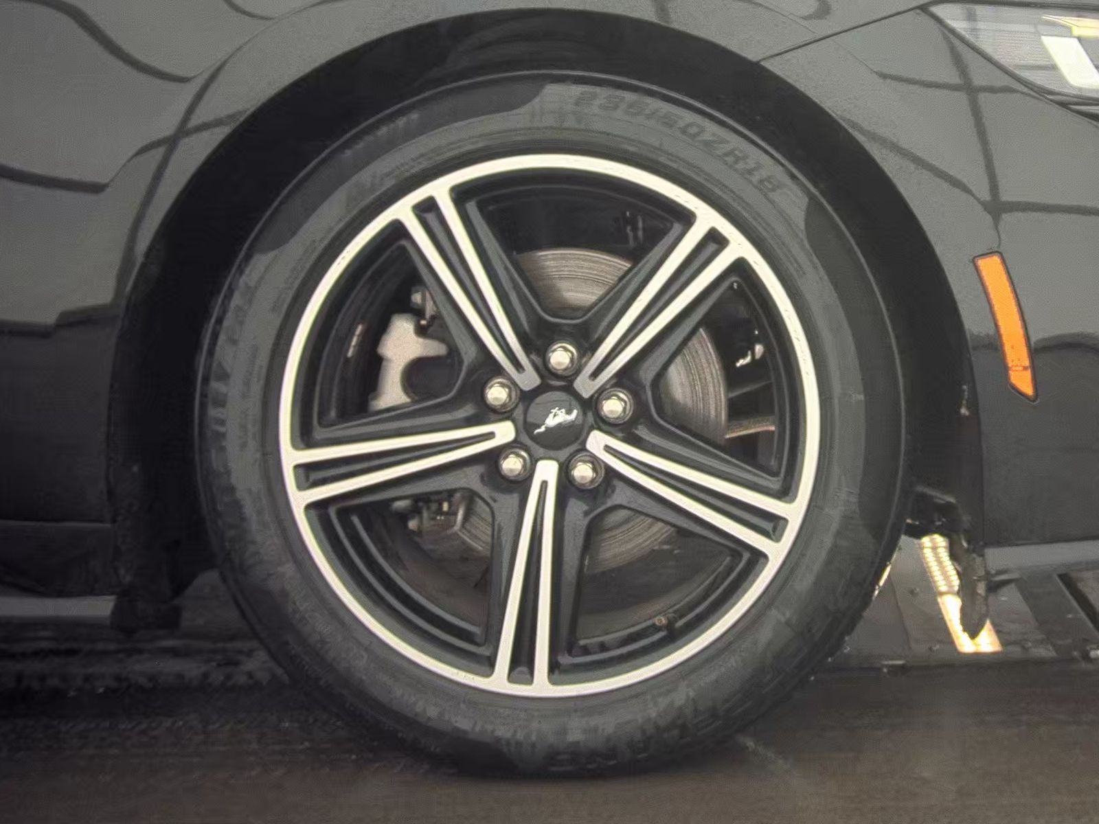 2024 Ford Mustang EcoBoost Premium RWD