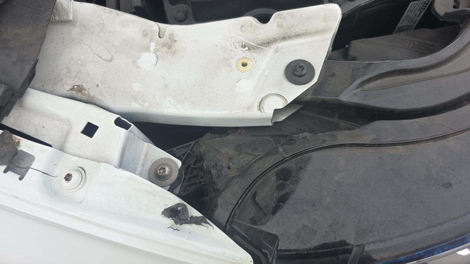 2023 Audi Q5 S line Premium Plus AWD