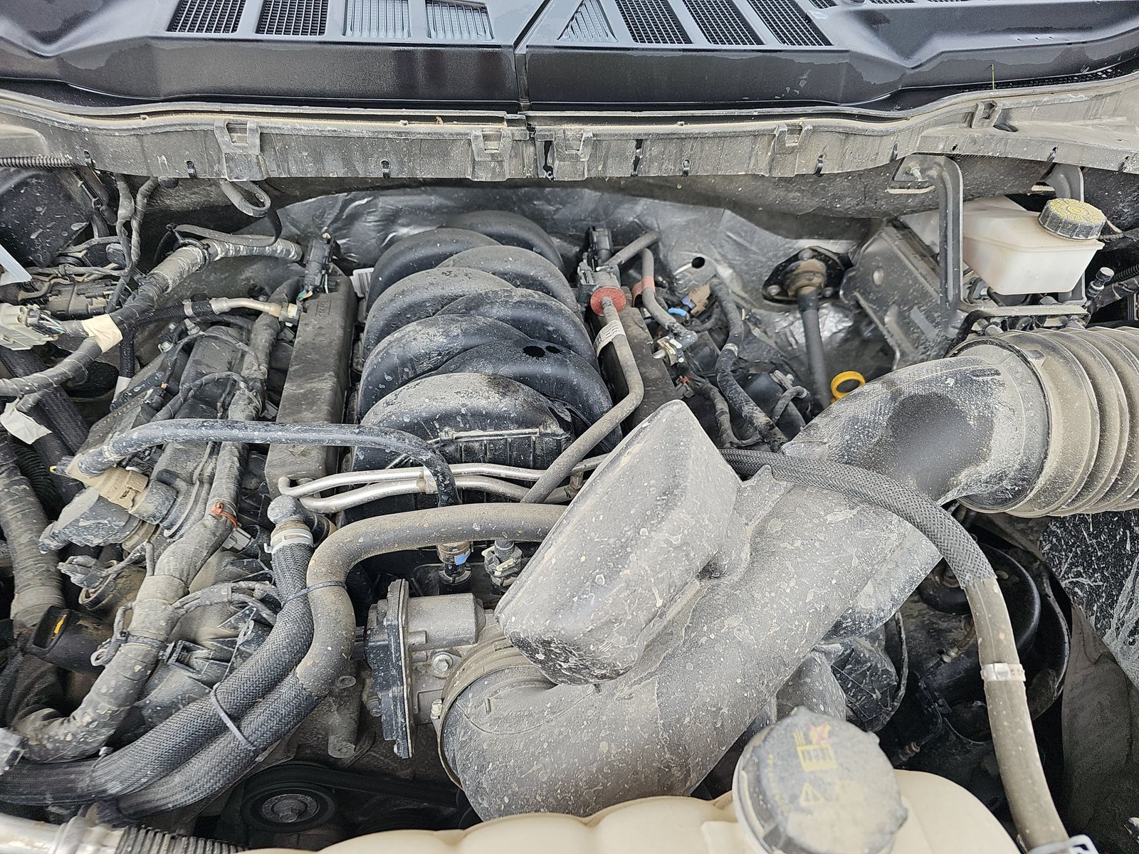 2024 Ford F-150 XLT AWD