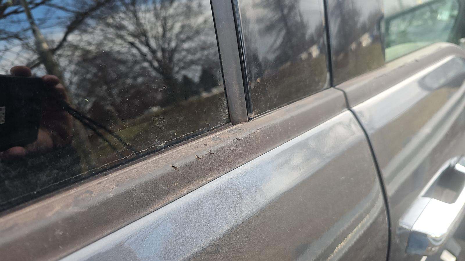 2024 Ford F-150 XLT AWD