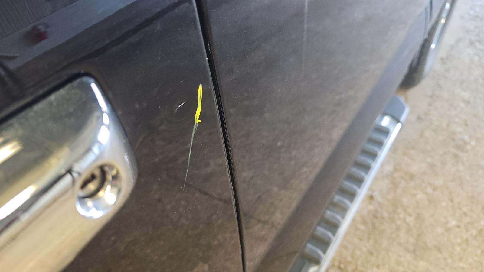 2025 Ford F-150 XLT AWD