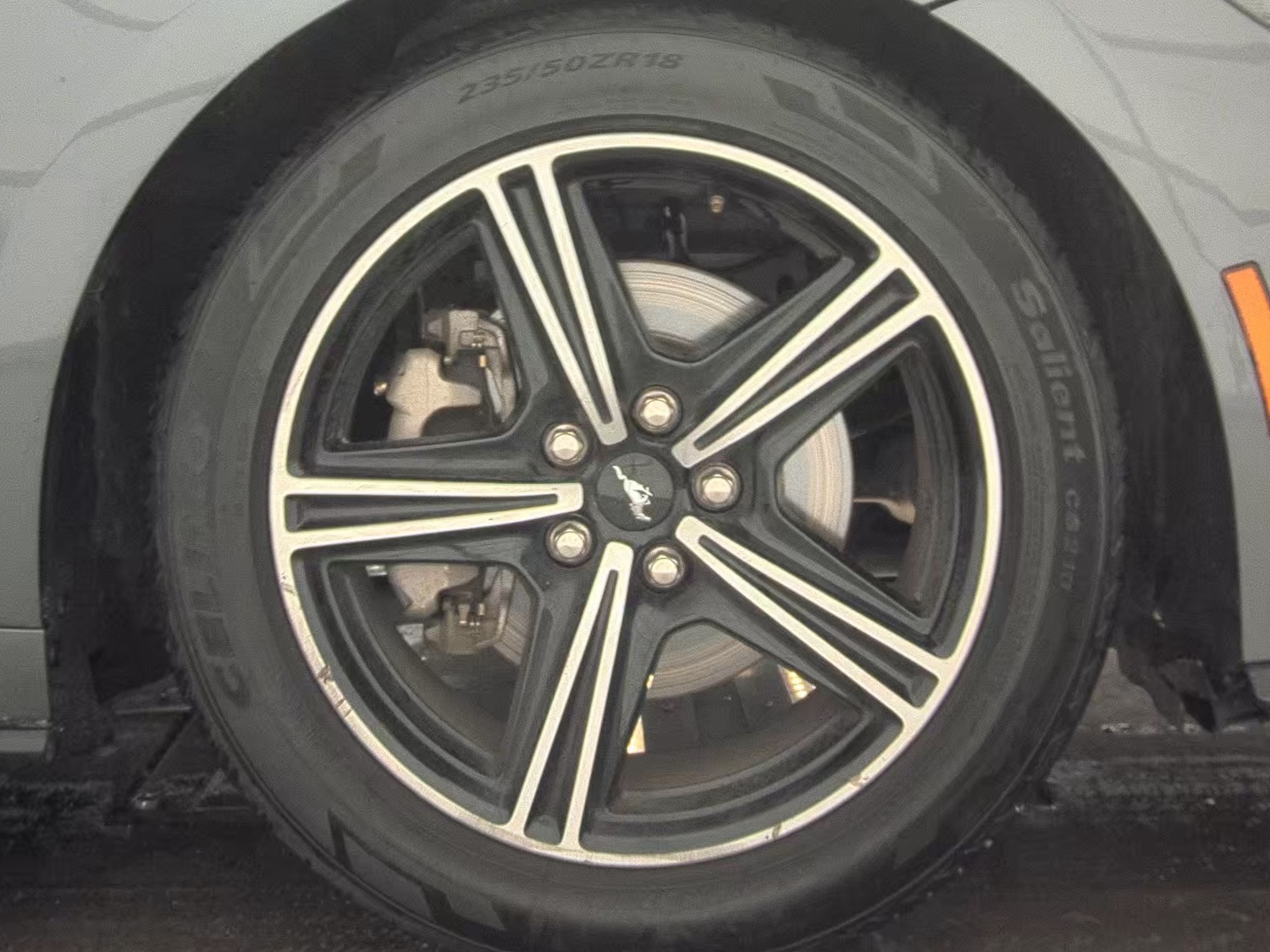 2024 Ford Mustang EcoBoost Premium RWD