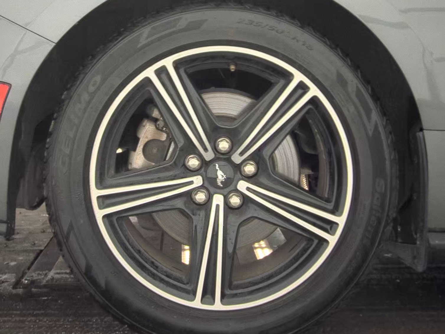 2024 Ford Mustang EcoBoost Premium RWD