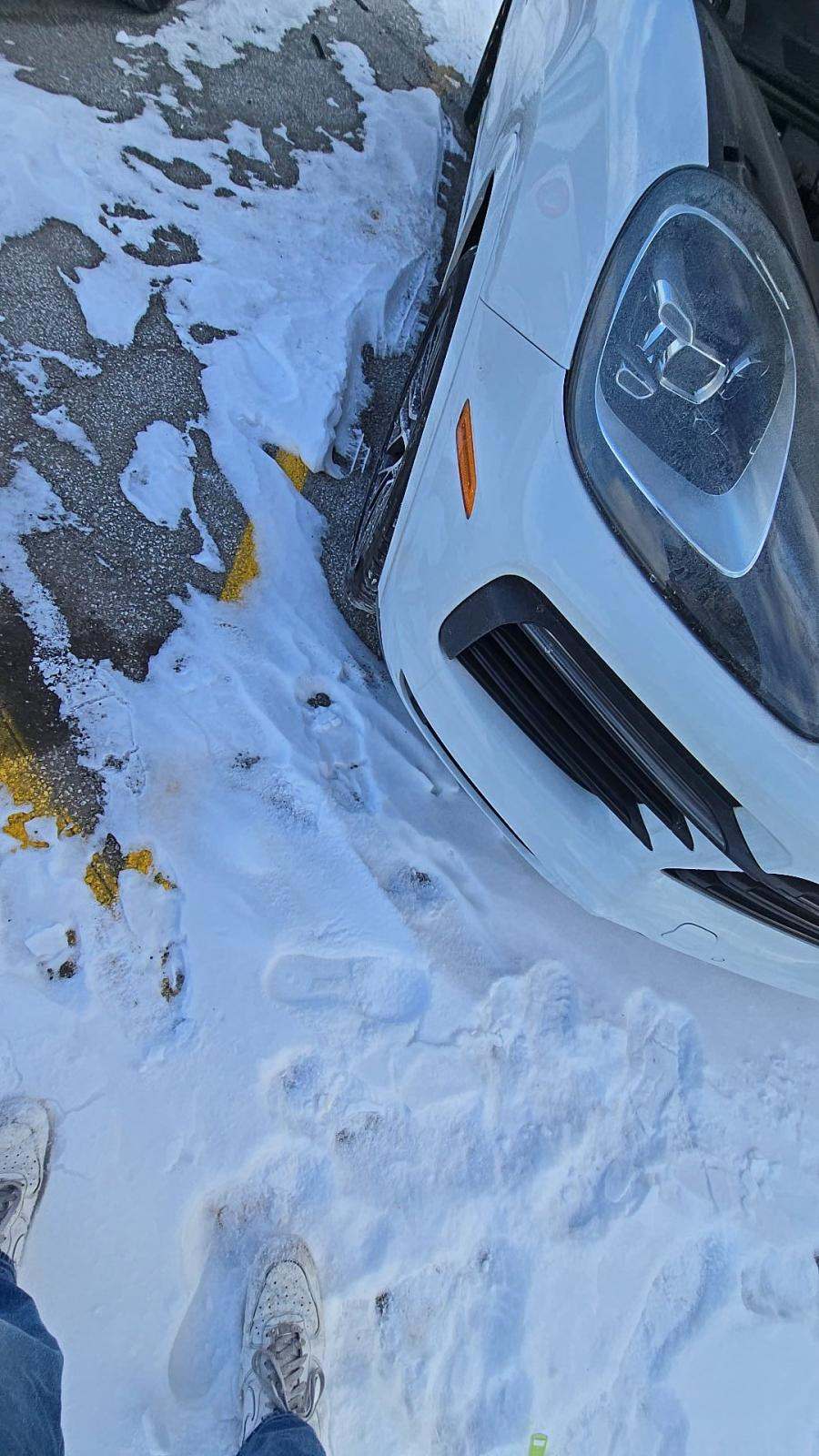 2019 Porsche Cayenne Base AWD