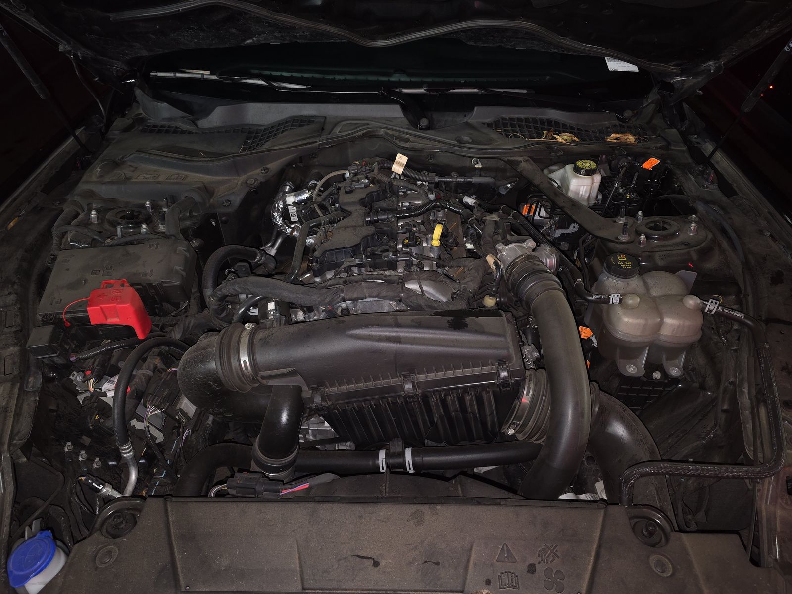 2024 Ford Mustang EcoBoost Premium RWD