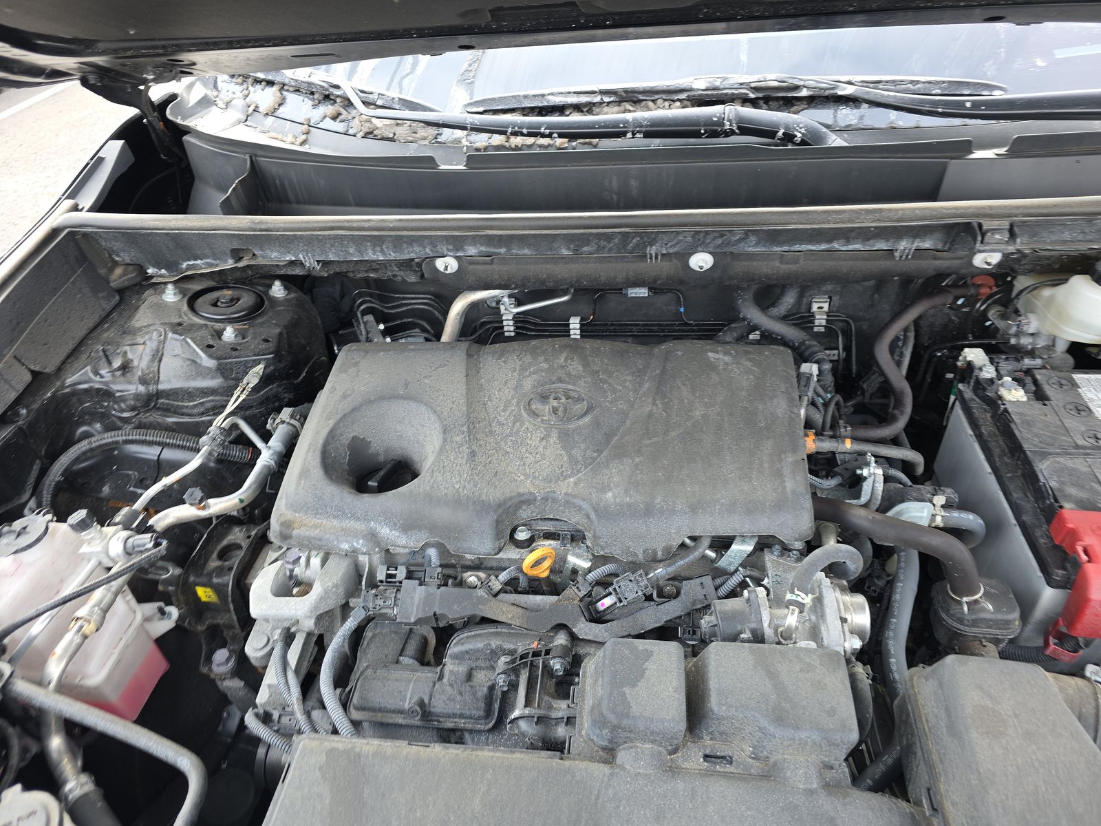 2024 Toyota RAV4 LE AWD