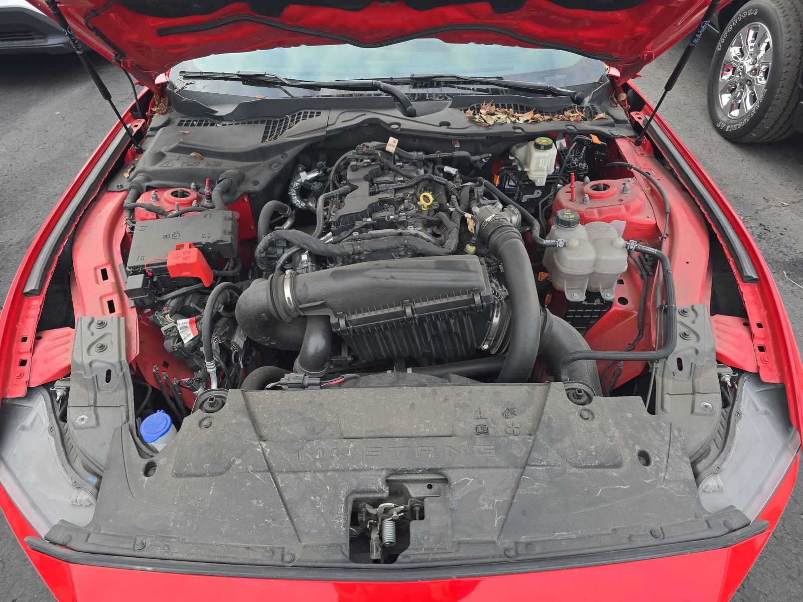 2024 Ford Mustang EcoBoost Premium RWD