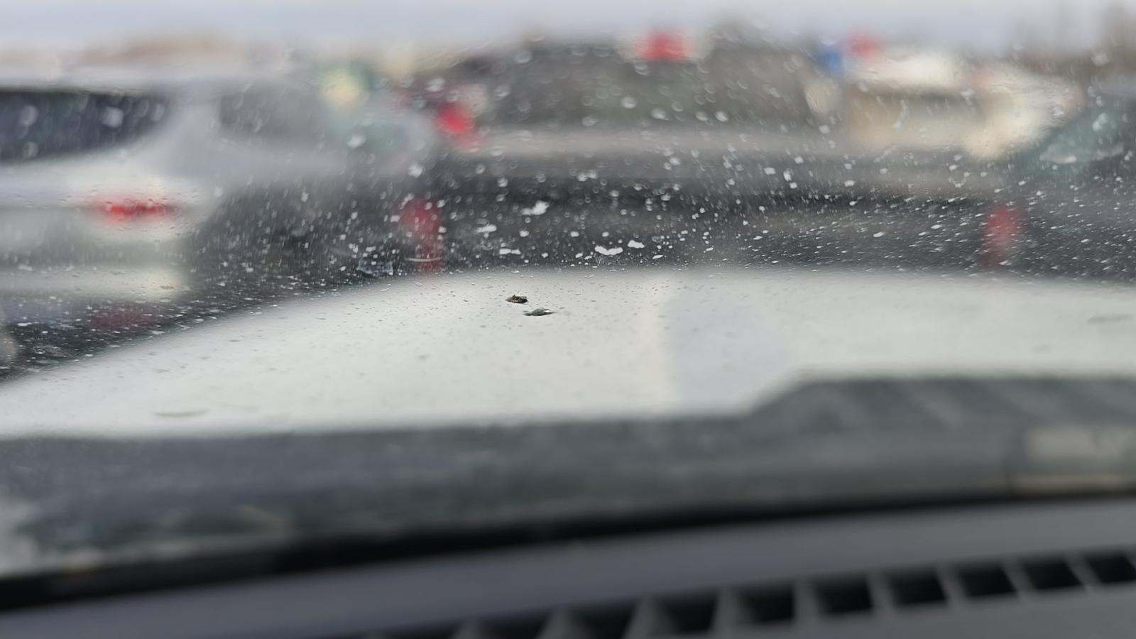 2021 Ford F-150 Hybrid XLT AWD