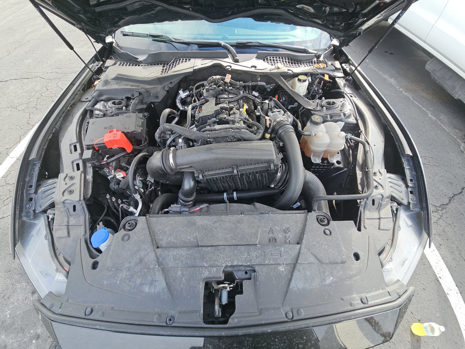 2024 Ford Mustang EcoBoost Premium RWD