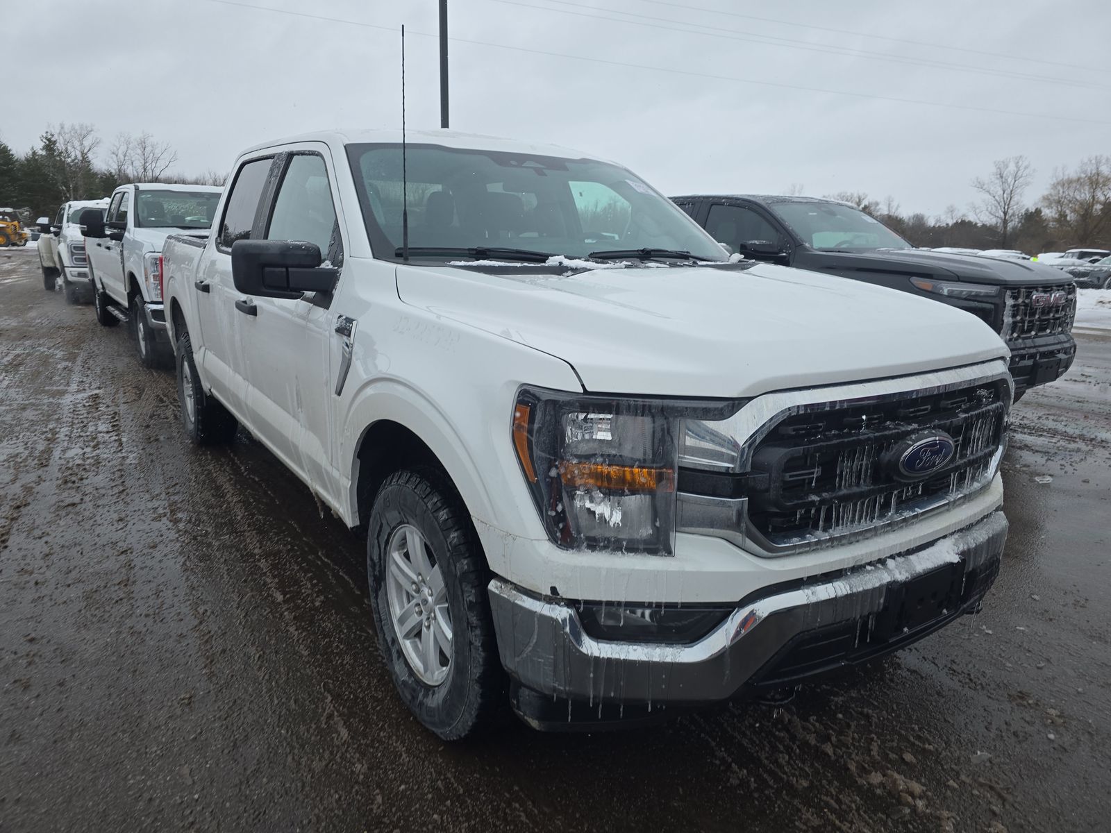 2023 Ford F-150 XLT AWD