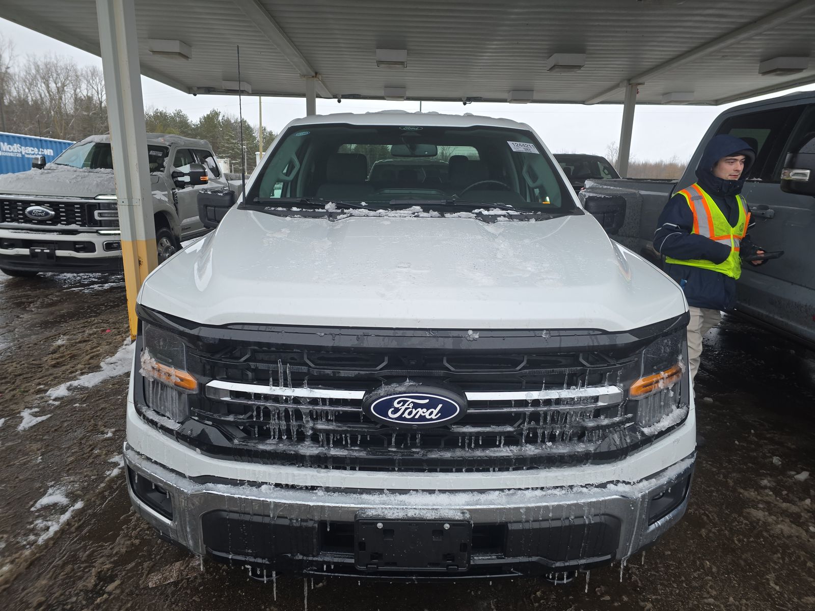 2024 Ford F-150 XLT AWD