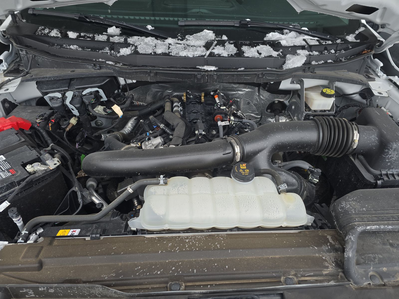 2024 Ford F-150 XLT AWD