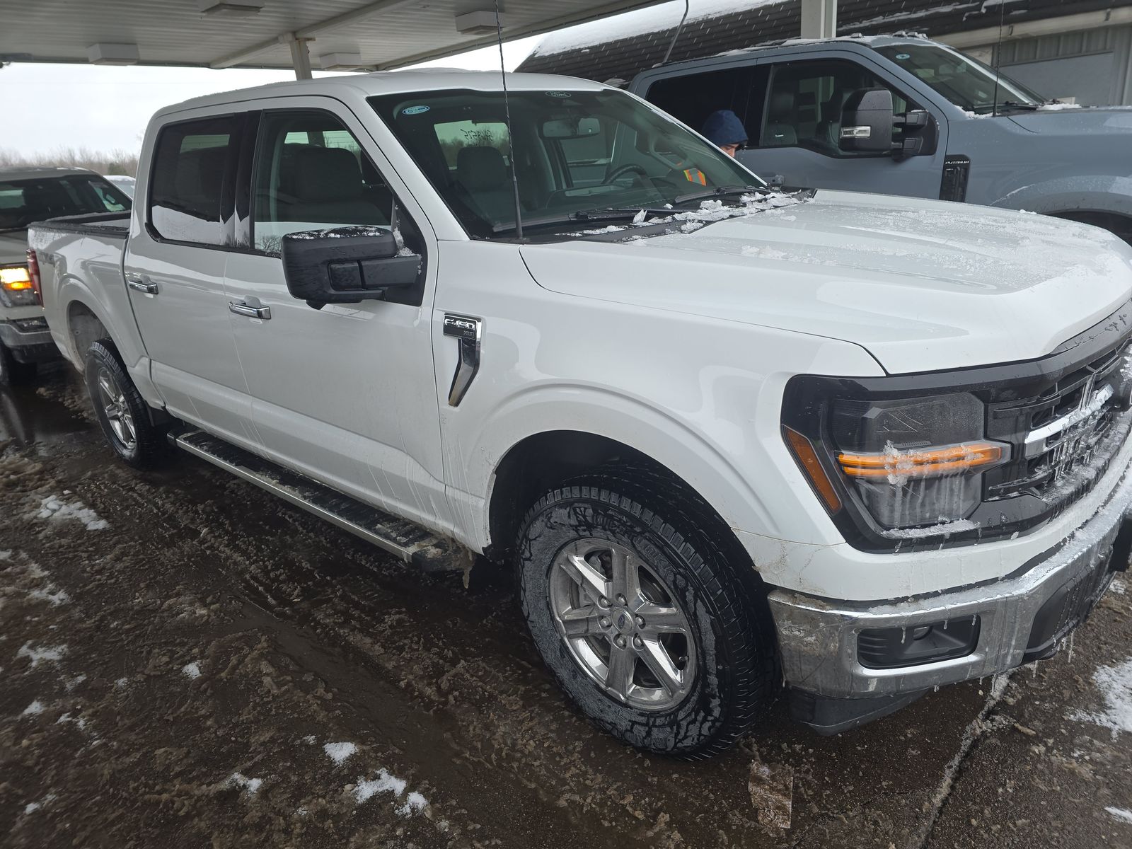 2024 Ford F-150 XLT AWD